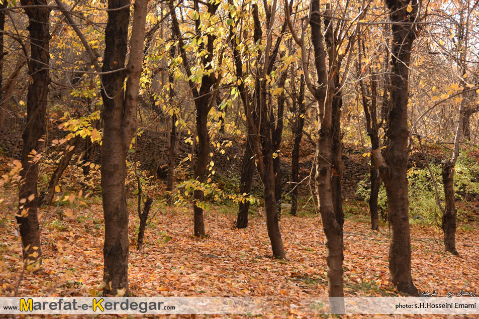 جاذبه های گردشگری ایران