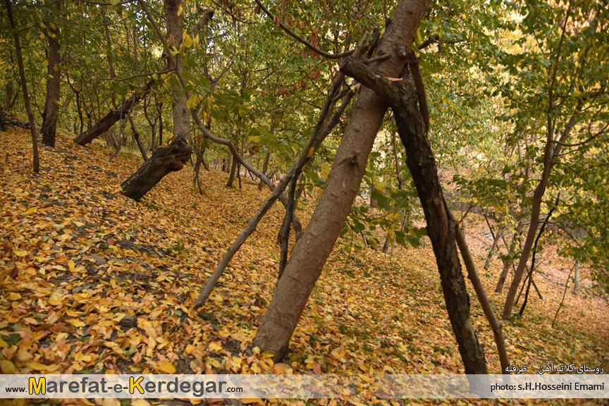 پاییز روستای کلاته آهن