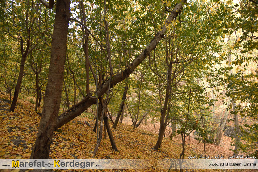 پاییز روستای کلاته آهن