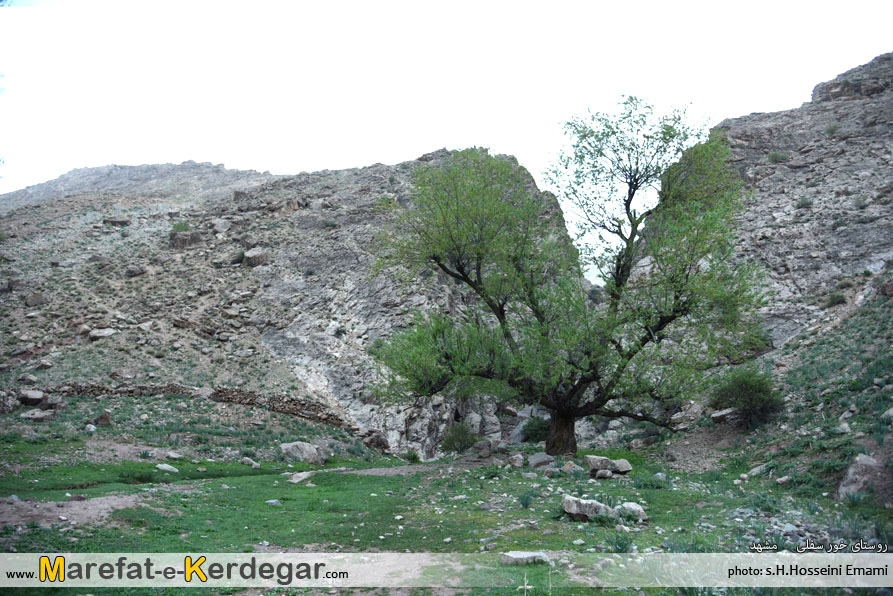 برنامه اکتشافی دره نوردی برنامه اکتشافی دره نوردی