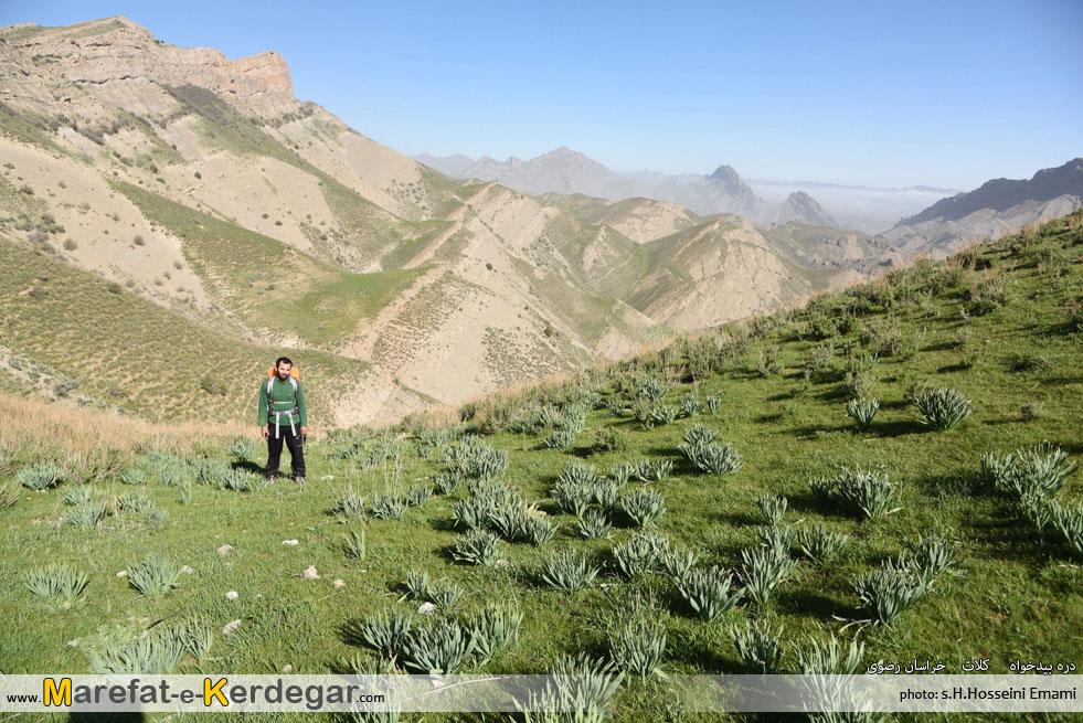 جاذبه های گردشگری شهرزو جاذبه های گردشگری شهرزو