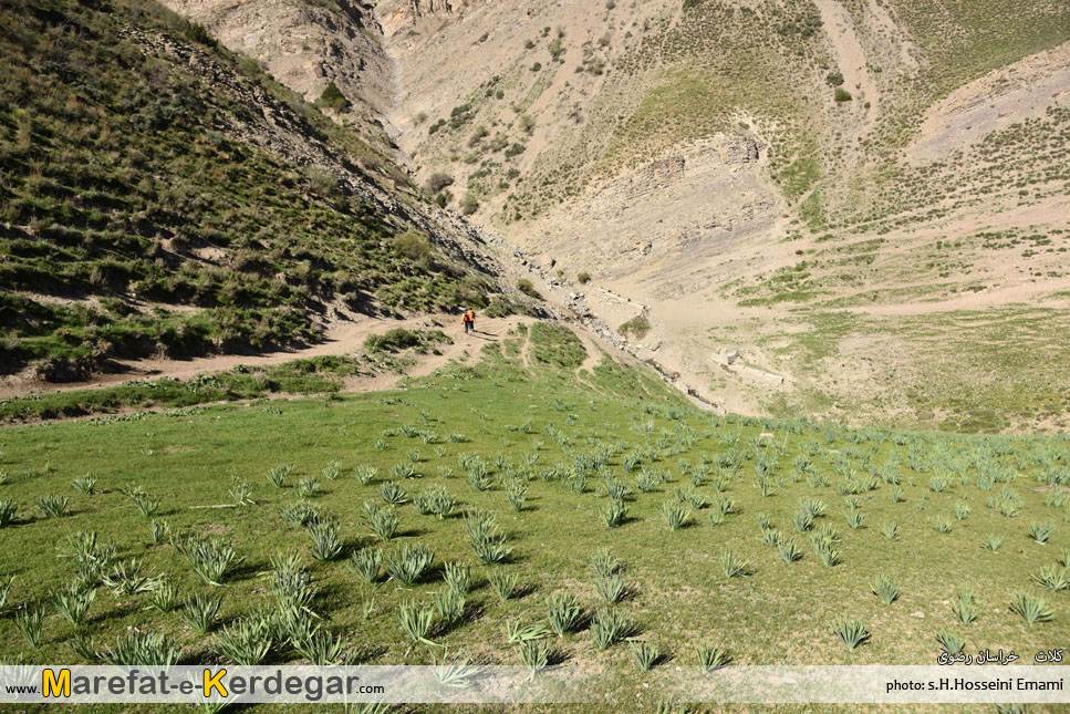 جاهای دیدنی کلات جاهای دیدنی کلات