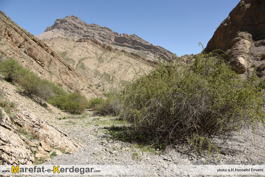 دره های هزارمسجد دره های هزارمسجد