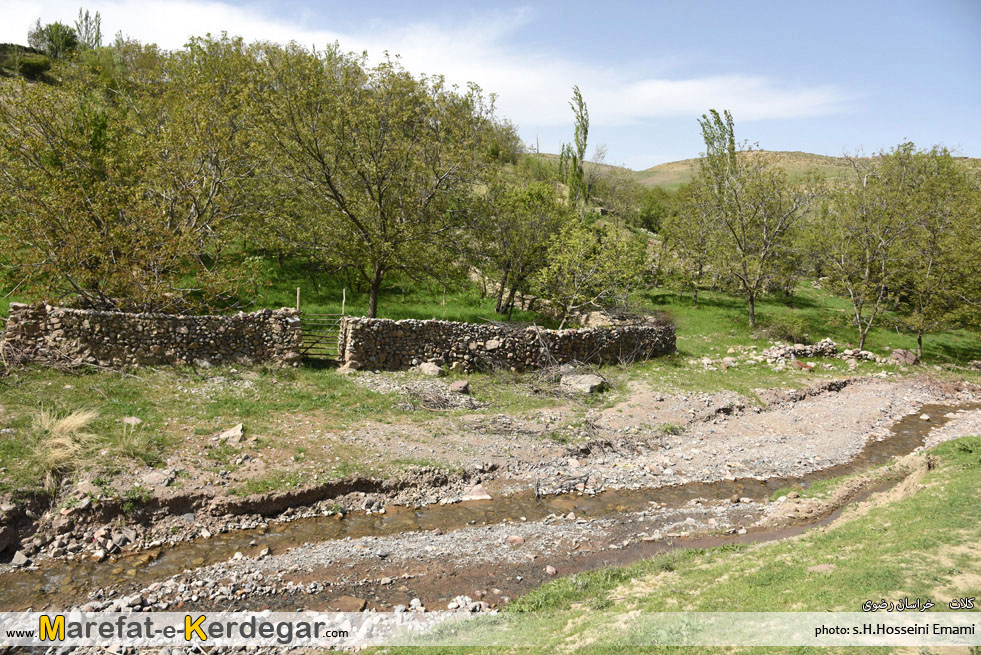 تصاویر شهرزو تصاویر شهرزو