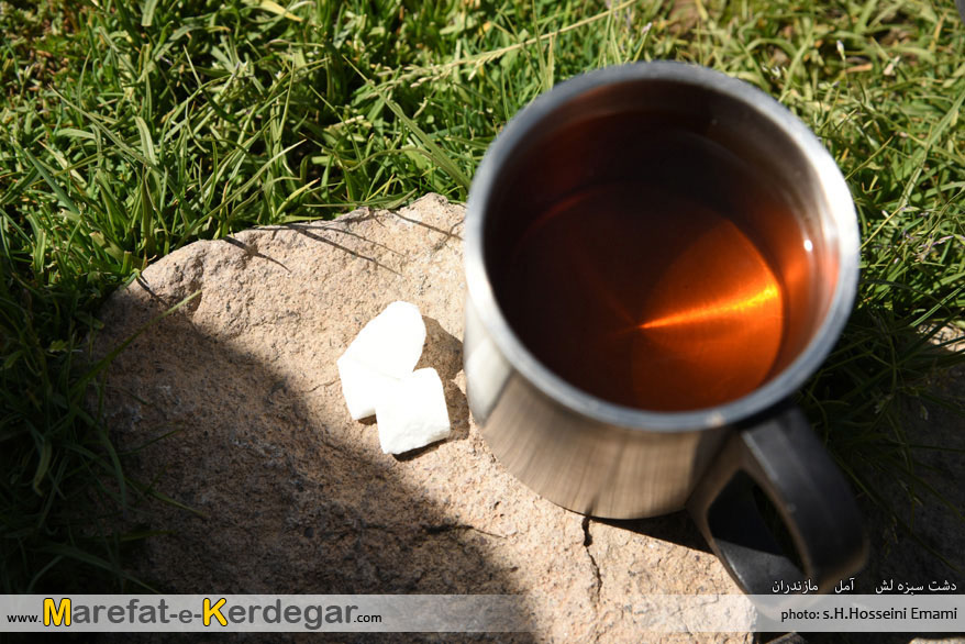 چای در قله دماوند