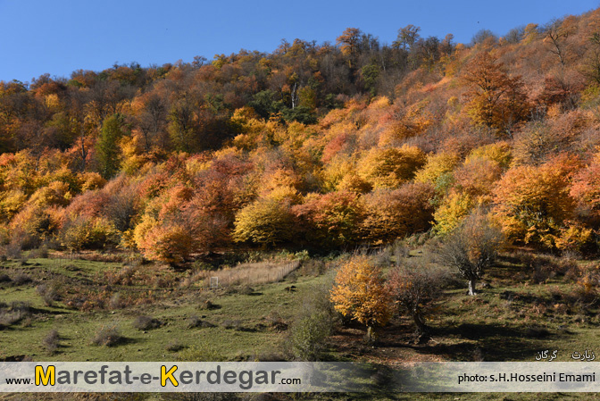 پاییز گلستان