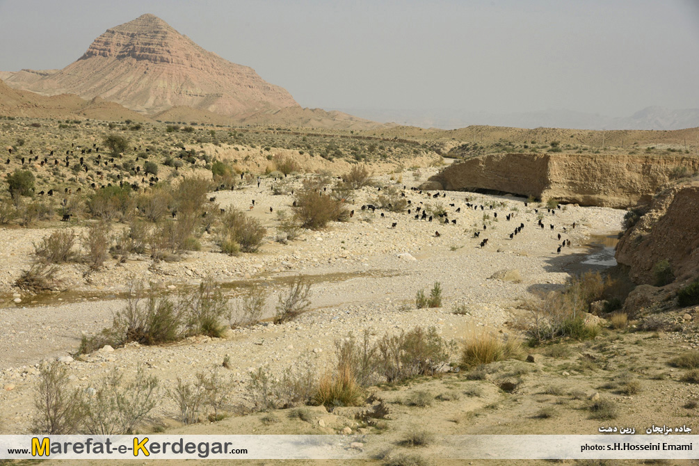 دیدنی های زرین دشت