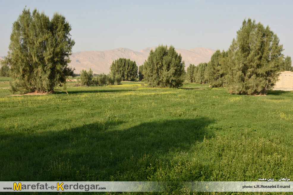 گردشگری زرین دشت