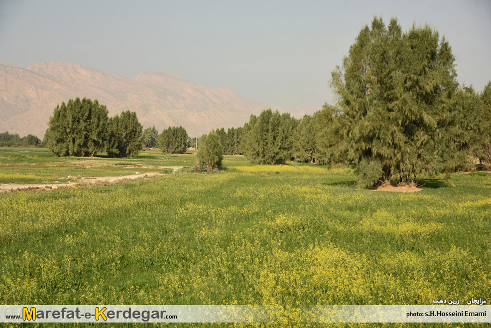 جاذبه های گردشگری زرین دشت