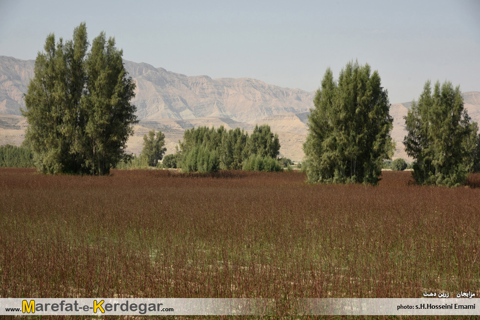 مکان های تفریحی ایران