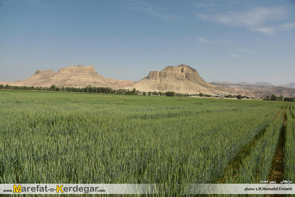 کشاورزی زرین دشت