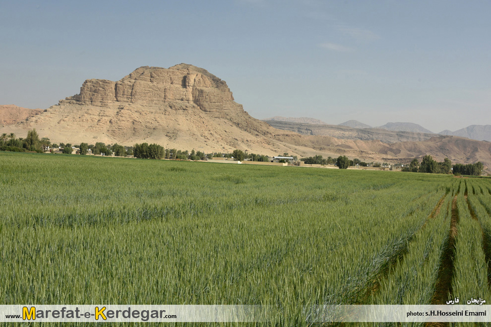 کشاورزی زرین دشت