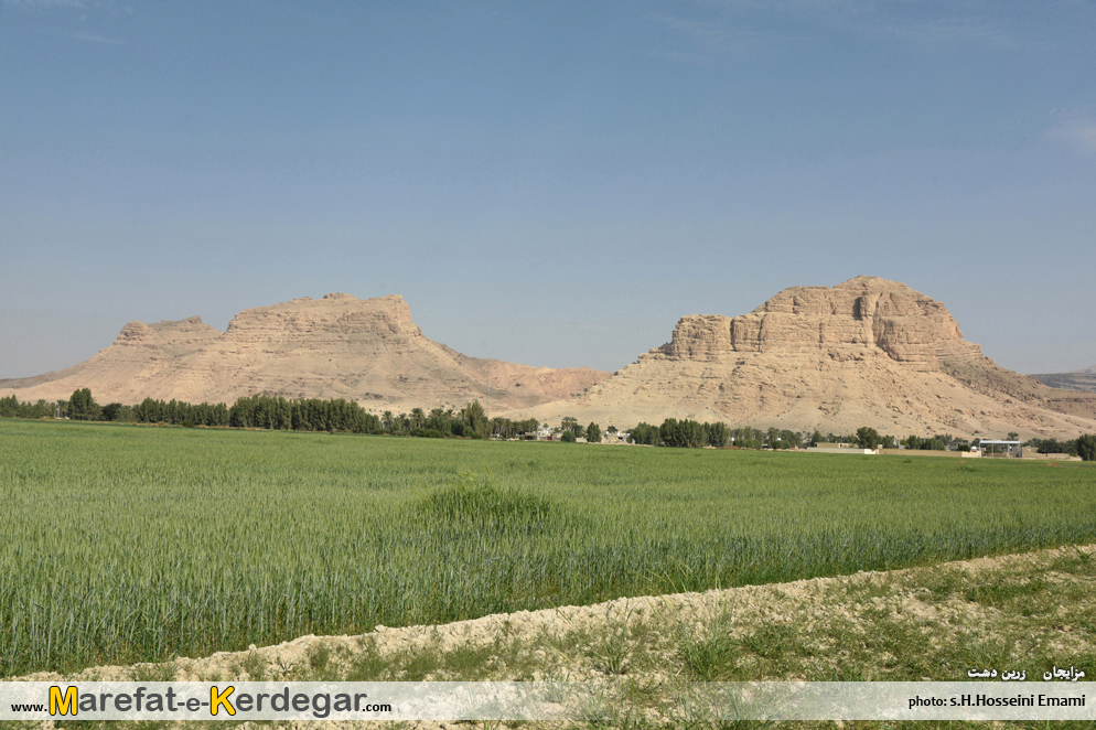 کشاورزی زرین دشت