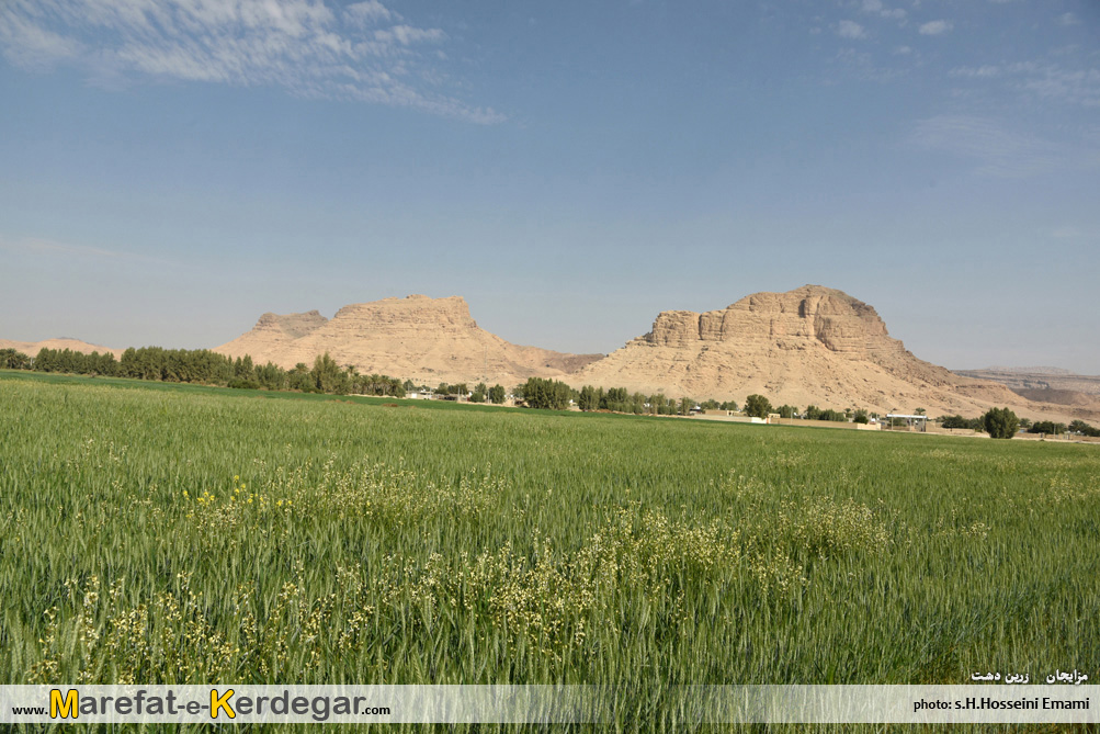 کشاورزی ایران