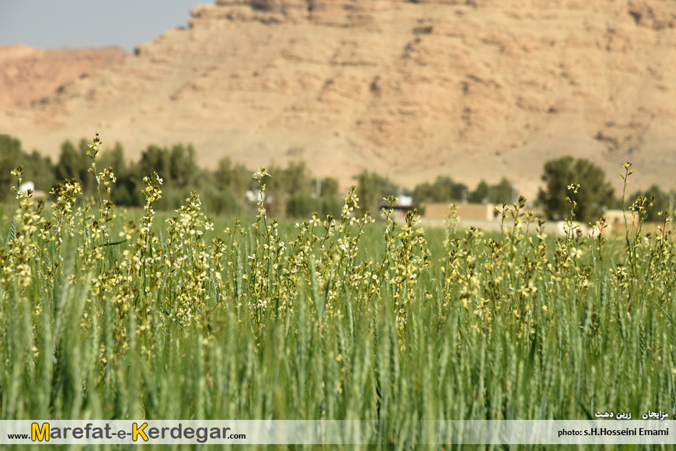 طبیعت بهاری ایران