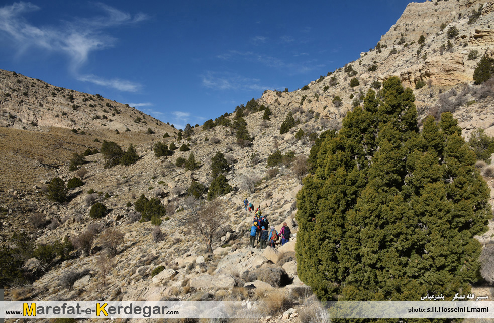 جنگل های جنوب ایران