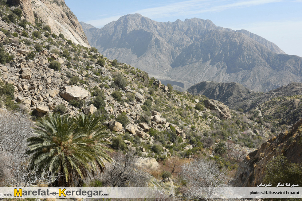 بندرعباس گردی