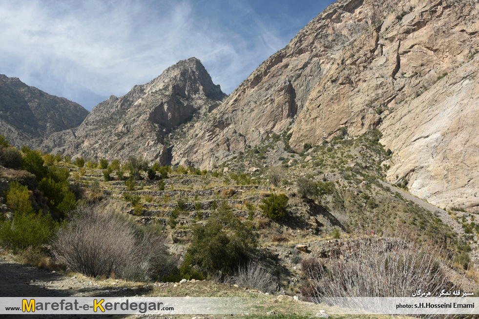 جنوب گردی