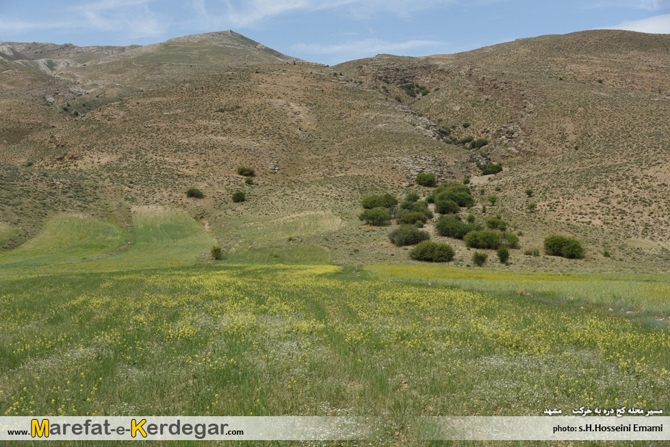 طبیعت بهاری شمال شرق