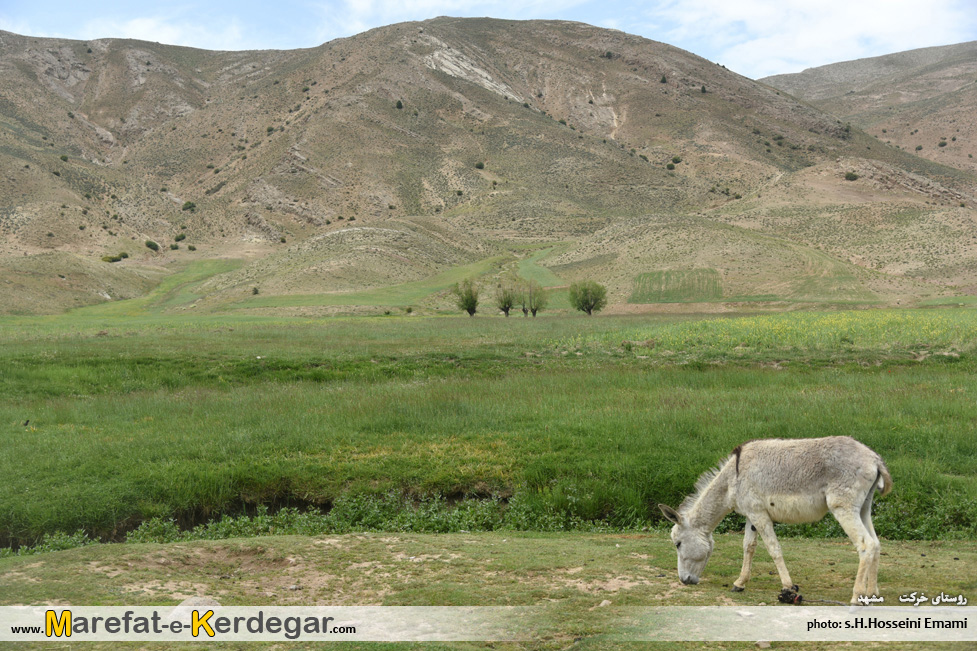 روستای خرکت