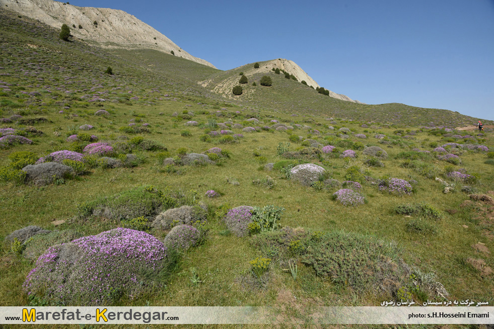 جاهای دیدنی هزارمسجد