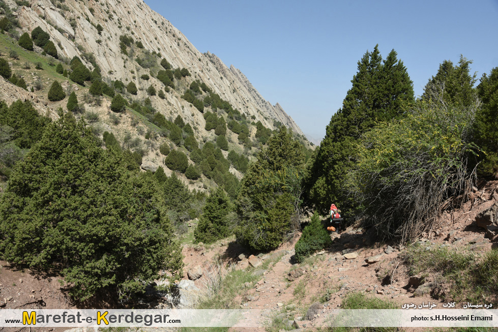 گردشگری هزارمسجد