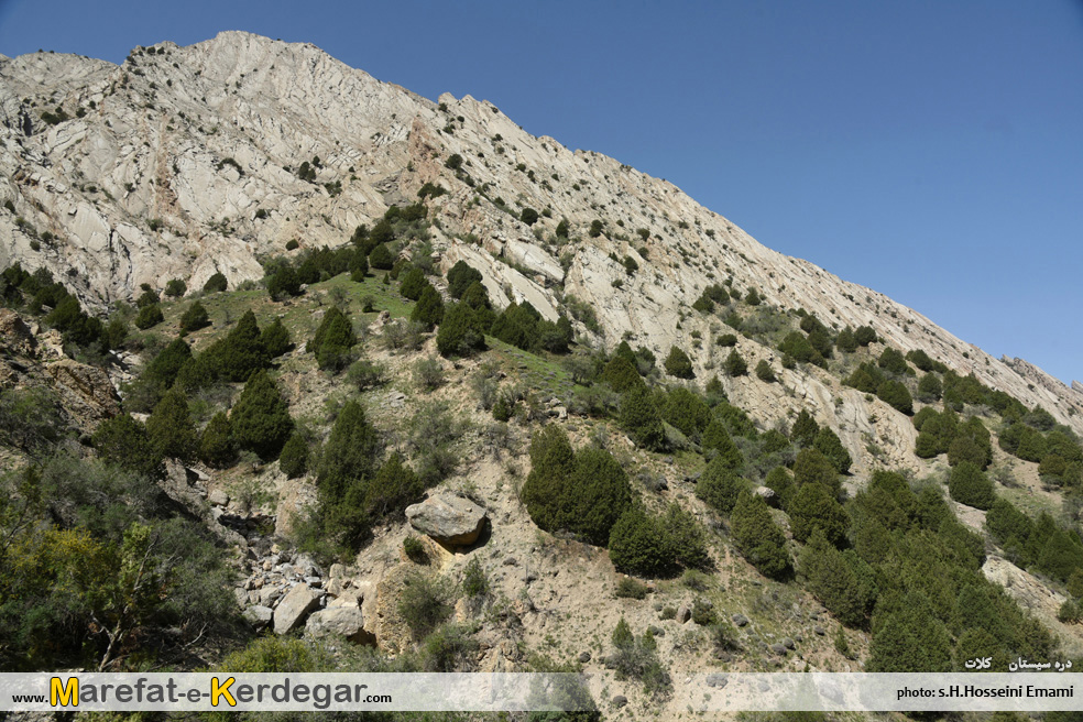 گردشگری هزارمسجد