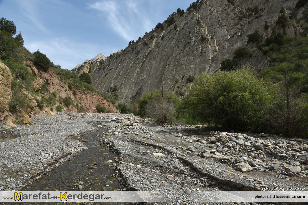 کلات گردی