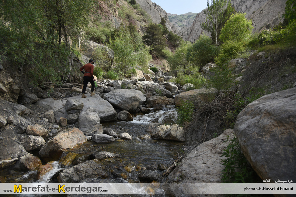 ایران گردی