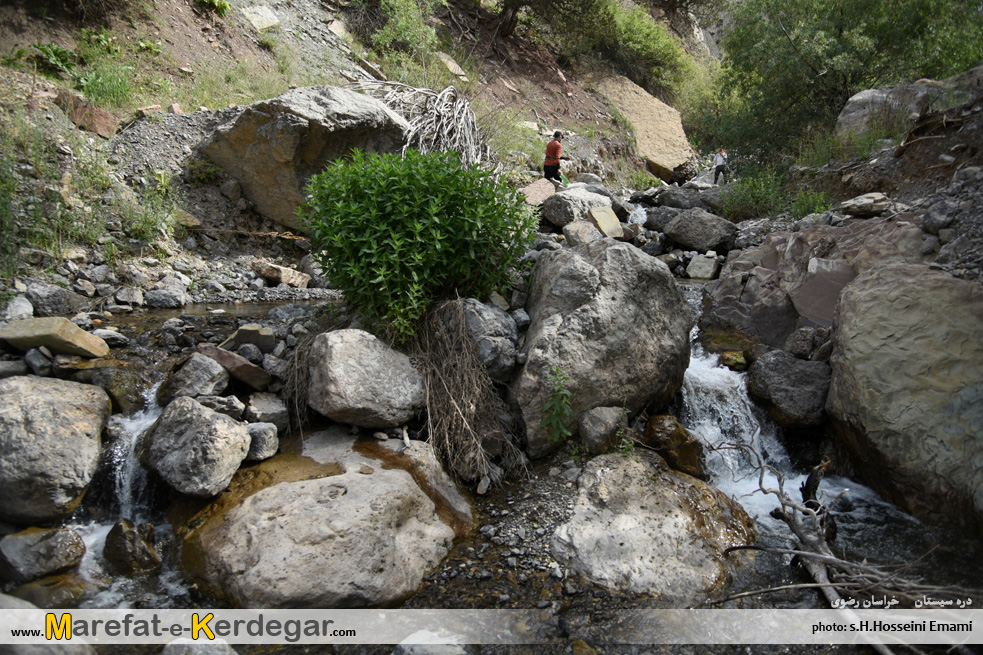 ایرانگردی