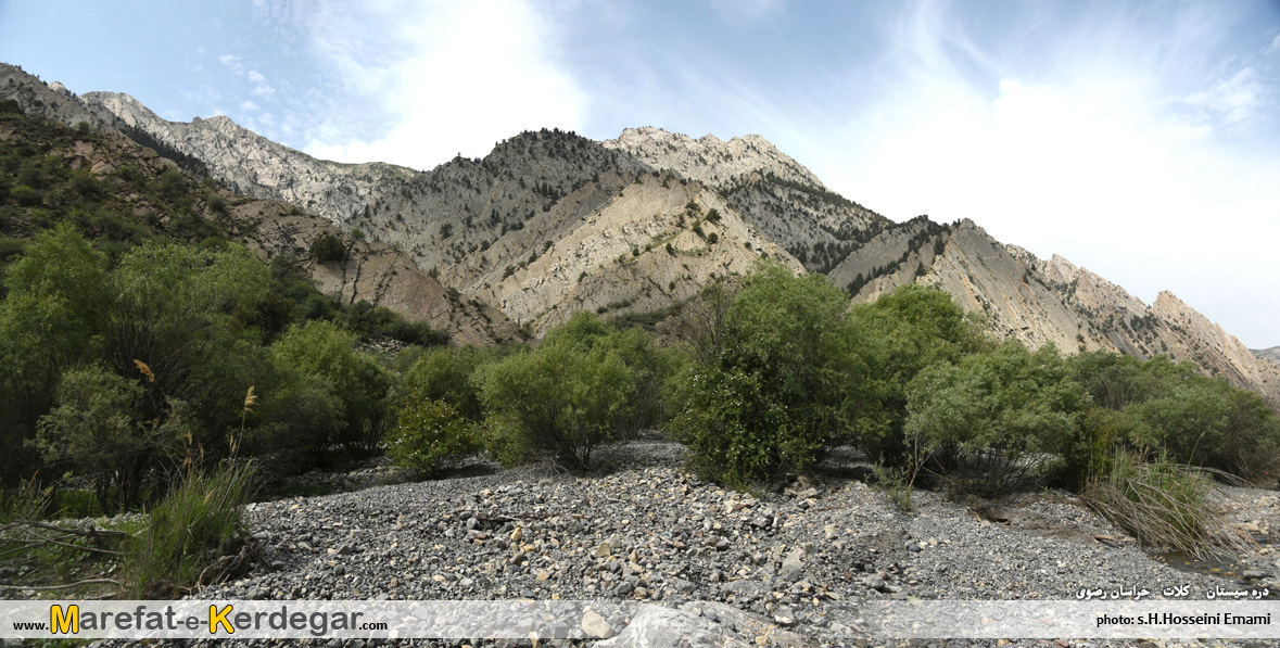 جنگل های ارس ایران