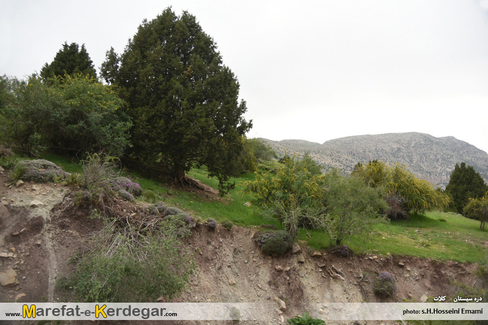 دره پیمایی در ایران