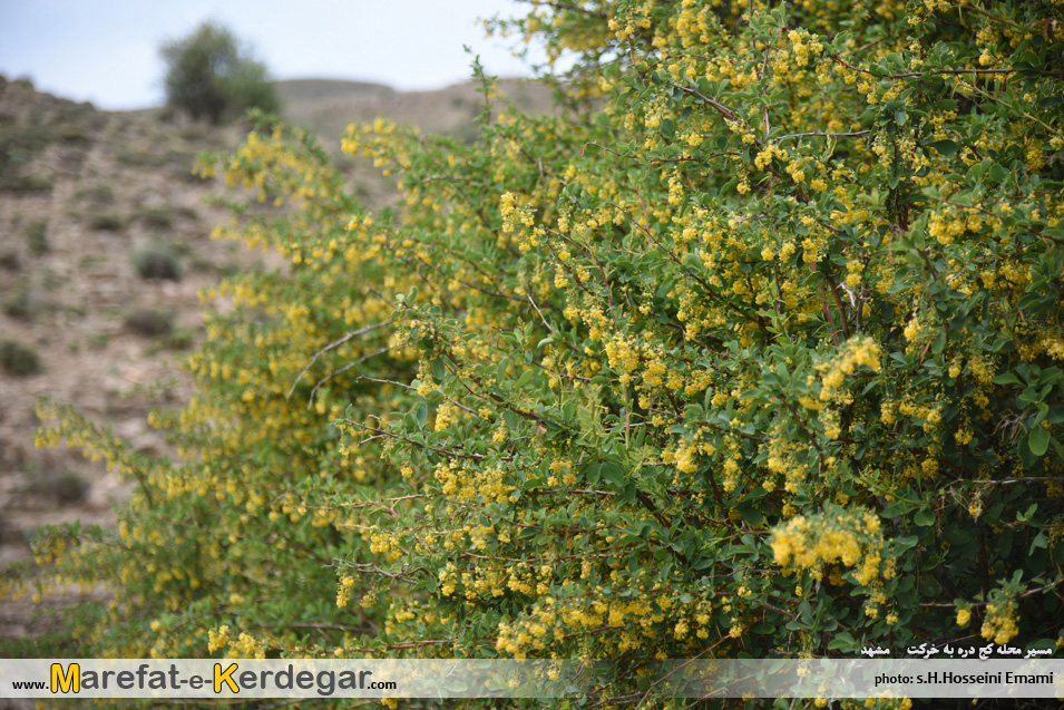 طبیعت بهاری خراسان