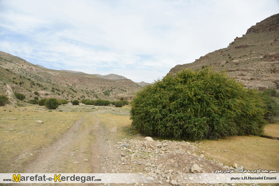 طبیعت بهاری خراسان رضوی