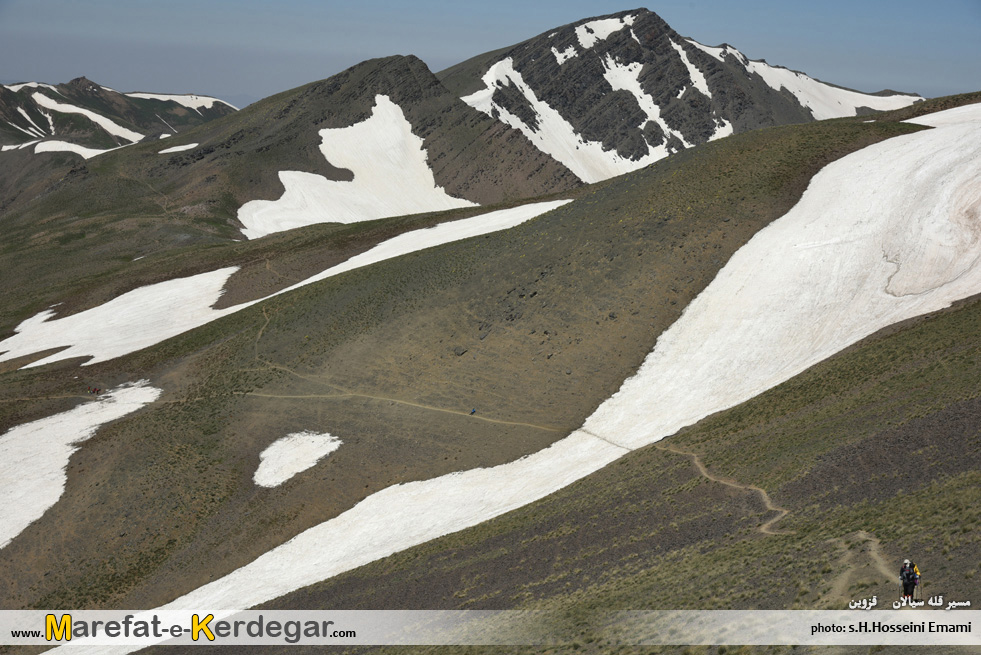 یخچال های ایران