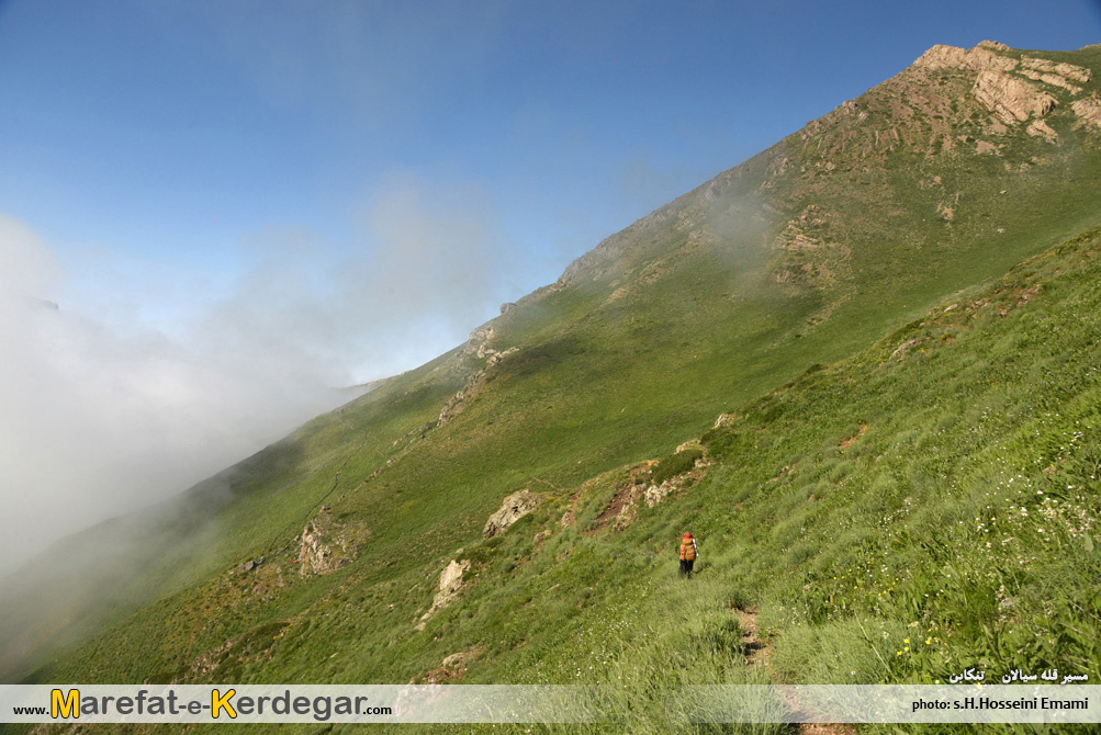 گردشگری ایران